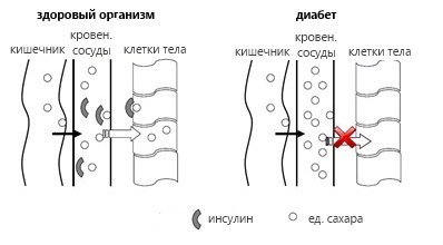 Суга норм от диабета
