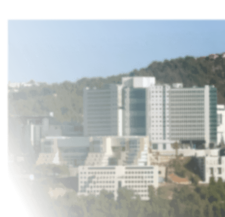 hadassah